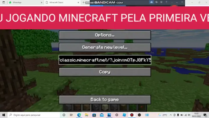 classic,minecraft,net