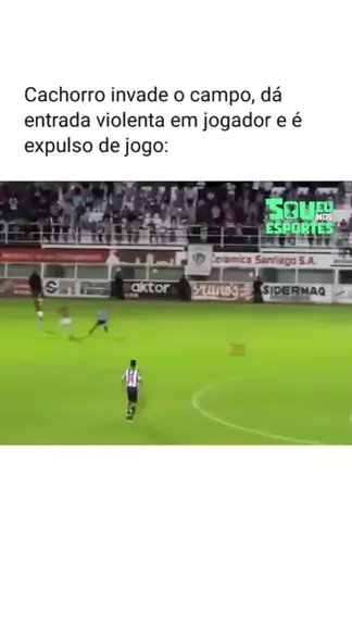 Cachorro invade campo e rouba bola durante jogo de futebol no México