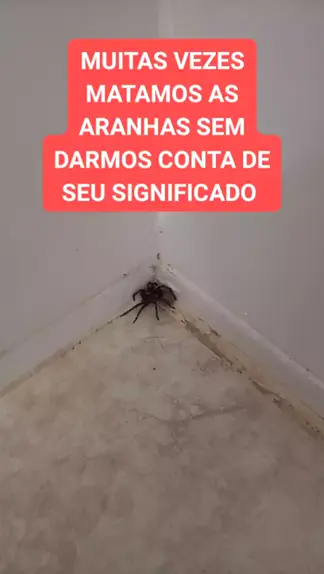significado de aranha dentro de casa