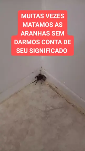 Significado espiritual da aranha: saiba qual é 🕷