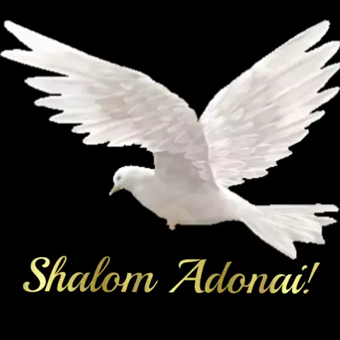 Qual o significado da palavra Shalom Adonai? A paz do Senhor?