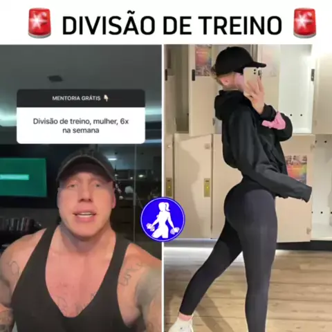 divisão de treino para mulheres