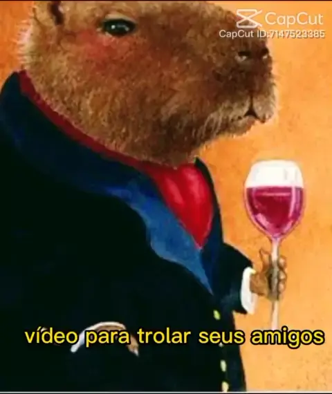 CapCut_perguntas para amigas quem e mais