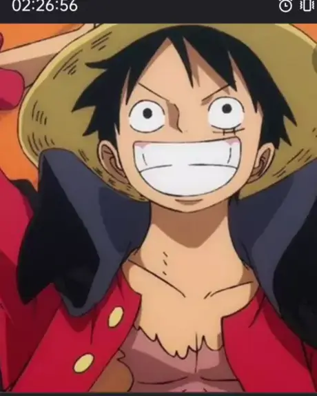 luffy calvo de cria 