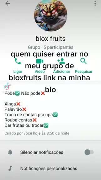 Quem quiser entra no Grupo de Blox Fruits Do Whatsapp Chama Pv