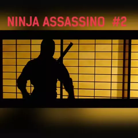 Ninja Assassin 2