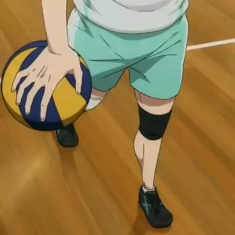 anime de vôlei feminino