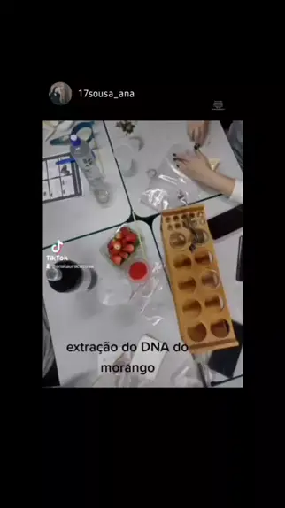 extração de dna de morangos