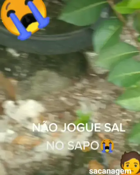 CapCut_joguei sal no sapo