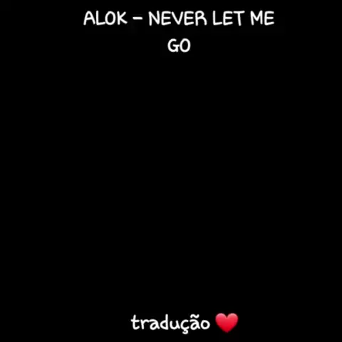 Alok lança o lyric video de Never Let Me Go. Veja! - VAGALUME
