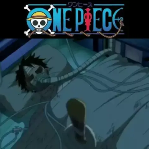 As mortes mais tristes de One Piece.. 😭 #anime #animes #onepiece #fy