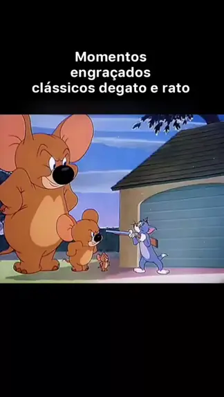 Gato aventureiro 😂 #engraçado #rato #fypシ #humor #viral