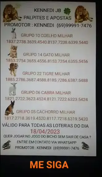 Descubra a milhar do gato que mais sai no jogo do bicho