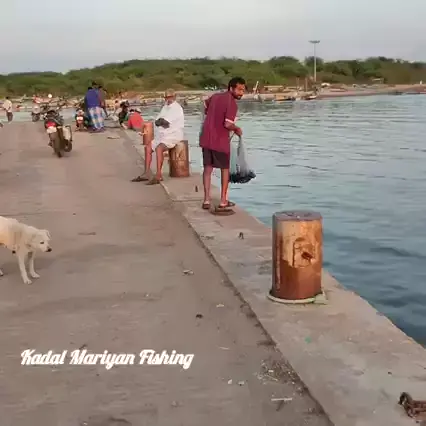 Kadal mariyan- fishing