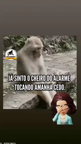 SOL NeJIZa (Meme) Song, Gandeia, Quem Sabe Amanhã