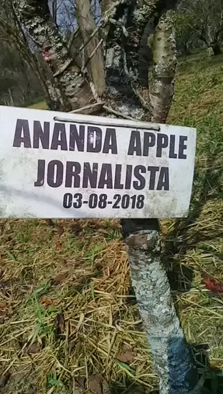 Ananda Apple - Portal dos Jornalistas