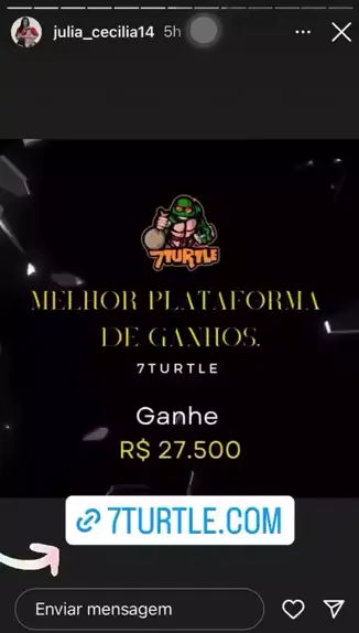 7turtle oficial brasil