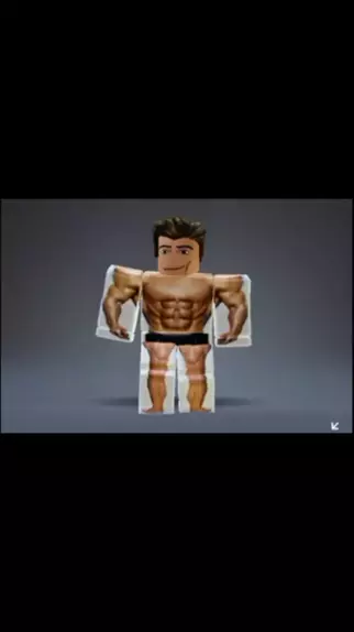 melhor skin para você jogar blox fruits