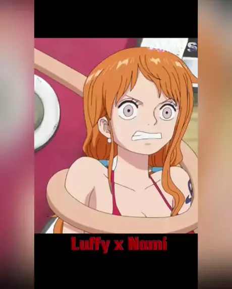 Shippo Muito Onepiece Luffy Nami