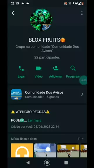 eu criei um grupo de blox fruits