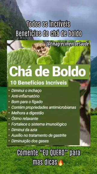 Emagrecimento e Saude Emagrecimento327 . udio original criado por Emagrecimento e Saude . Benef cios do ch de boldo boldo ch estomago incha o planta Sa de desafiepara100kvis