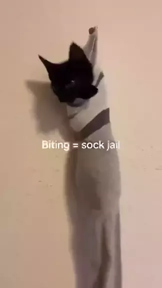grippy sock jail meme