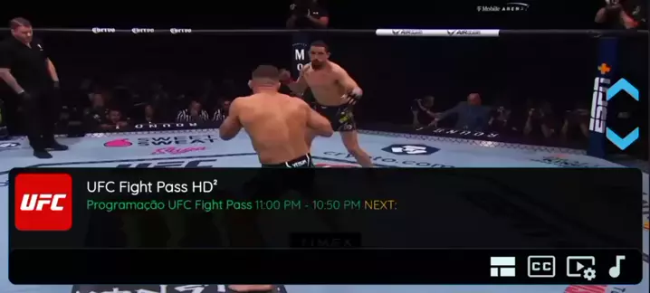 assistir ufc fight pass ao vivo grátis online | Discover