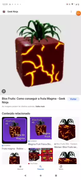 Frutas blox fruits/Melhores valores do - Roblox - Blox Fruits - GGMAX