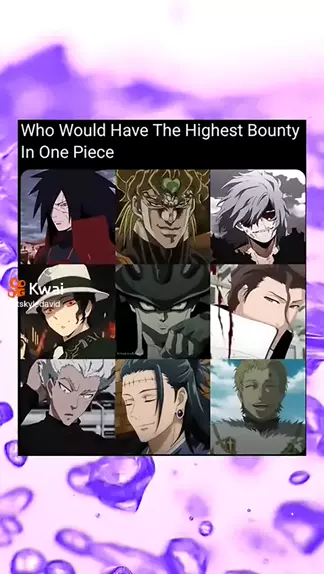 Who Has The Highest Bounty In One Piece?