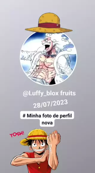 foto de perfil tripulação blox fruits