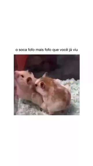 meme quando vc e chamado de soca fofo