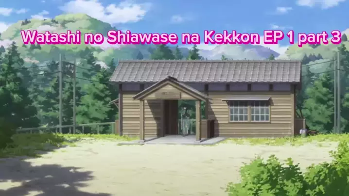 Watashi no Shiawase na Kekkon - Dublado - Anitube