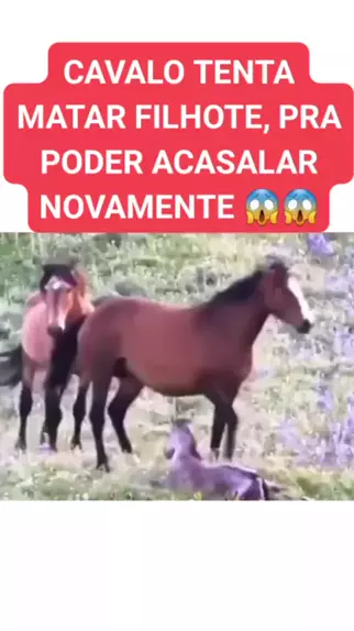 Cavalo Matando Filhote! 