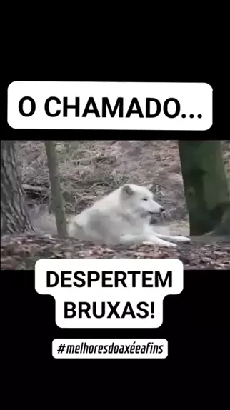 Despertem As Bruxas