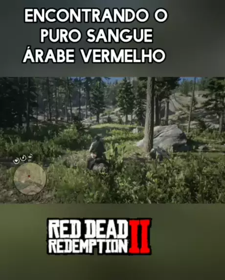 Como CONSEGUI o CAVALO PURO SANGUE ÁRABE MAIS LINDO DO RED DEAD REDEMP