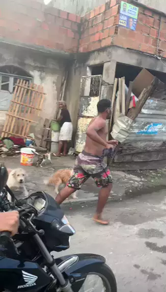 TESTE  Gustavo Turani Leilões