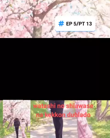 watashi no shiawase na kekkon dublado 2