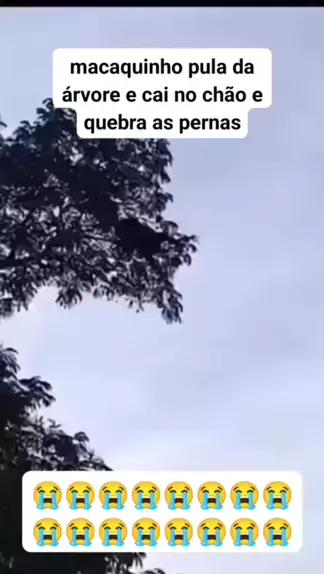 Macaquinho da Perna Quebrada (Em Portugues do Brasil