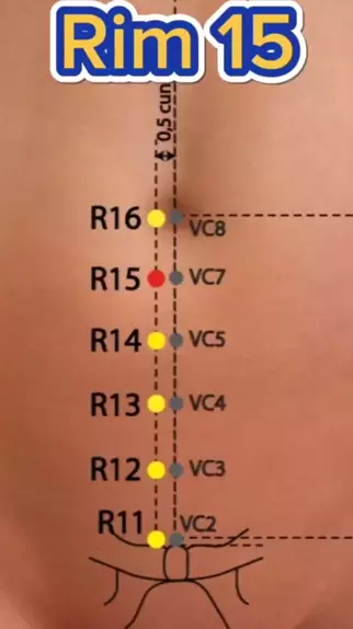 Ponto Certo acupuntura e Medita o ederraphaelram . udio original criado por Ponto Certo acupuntura e Medita o. kwai pontocertoacupuntura acupuntura MTC