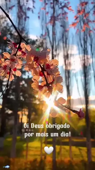 Oi Deus Obrigado Por Mais Um Dia Bomdia Deusvive Viral