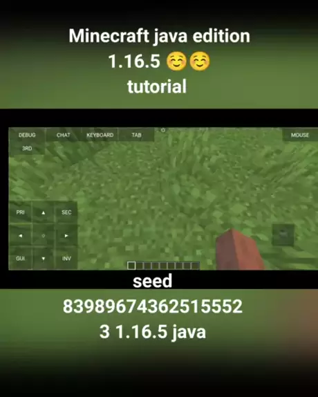 Minecraft Java Edition 1.16.5