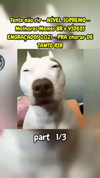 7 Videos engraçados para rir  videos engraçados para rir, memes