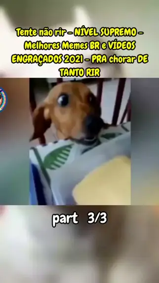 TENTE NÃO RIR IMPOSSÍVEL - Melhores Memes e Vídeos