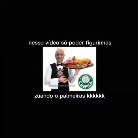 vídeo que só vale figurinhas zuando o palmeiras