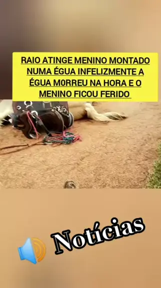 Raio mata cavalos em Salmourão - - Notícia - Ocnet