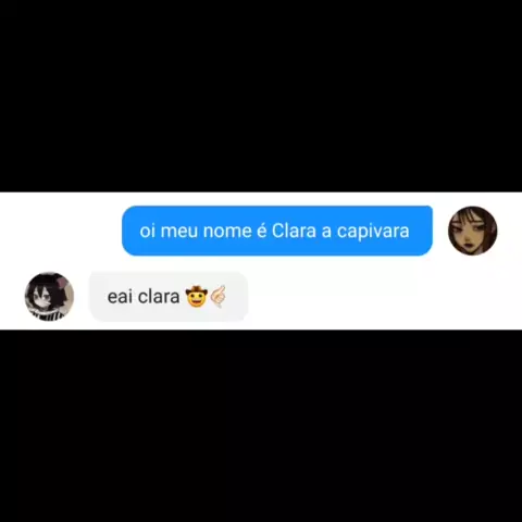 oi eu sou a clara a capivara tirou minha