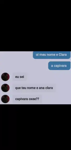 Oi Eu Sou A Clara Capivara 