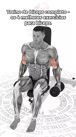 Exercícios de Biceps e Triceps