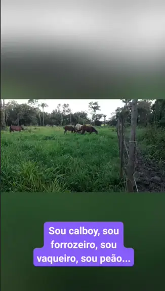 Sou Vaqueiro sou peão - Zenildo o Cowboy do forró - Sertanejo