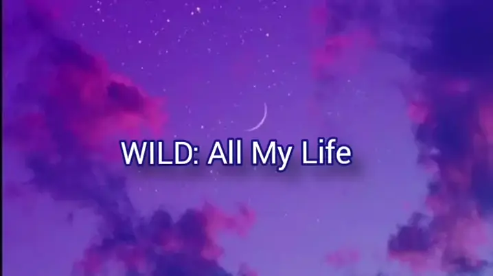 WILD - Letra de All My Life